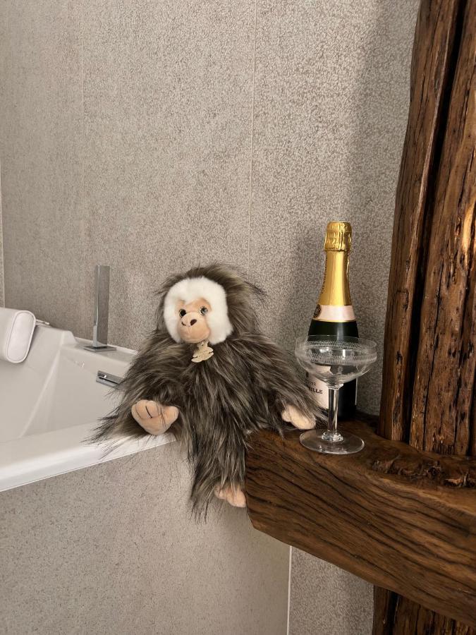 Tamarin & Capucin Suite Balneo 欧巴涅 外观 照片
