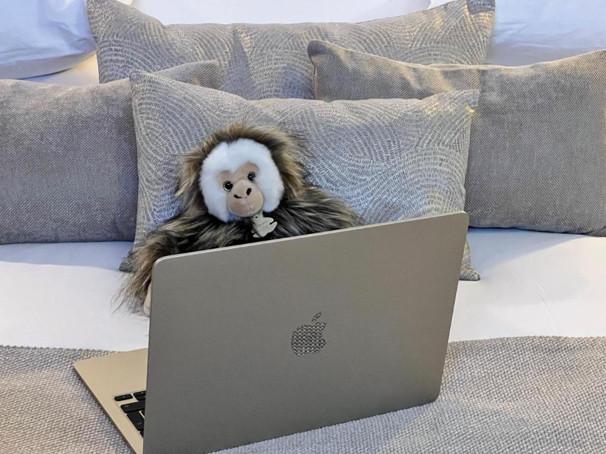 Tamarin & Capucin Suite Balneo 欧巴涅 外观 照片